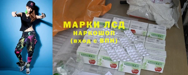 spice Богородицк