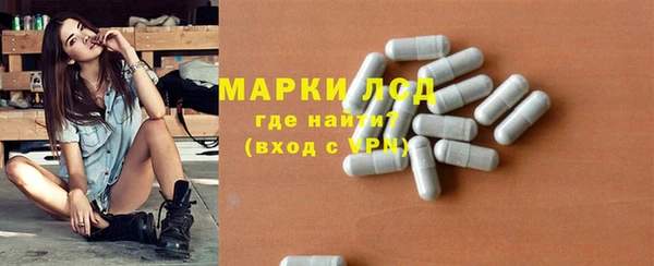 spice Богородск