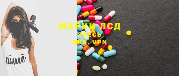 spice Богородск