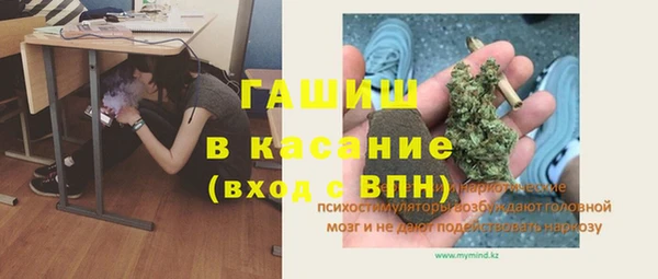 spice Богородицк