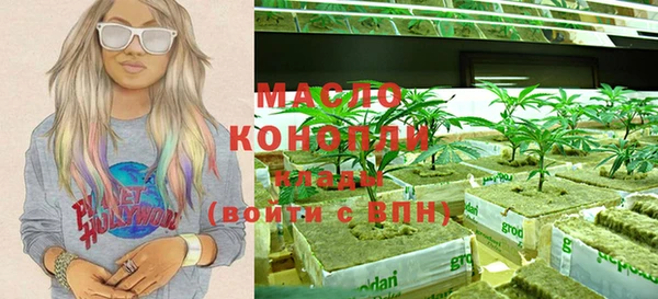 spice Богородицк