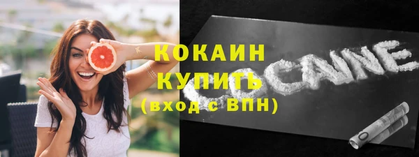 spice Богородицк