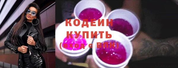 spice Богородицк