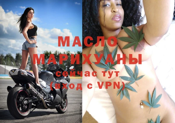 spice Богородицк