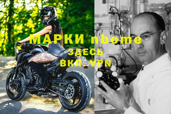 твердый Богданович