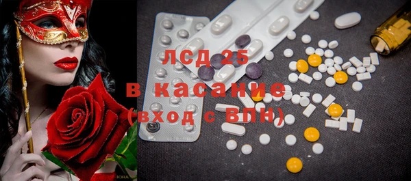 spice Богородск