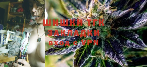 spice Богородск