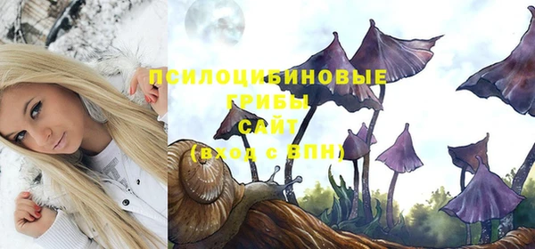 твердый Богданович