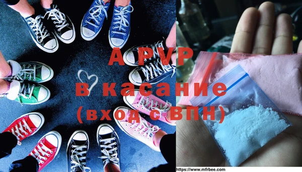 твердый Богданович